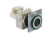 Push Button Mushroom Green 30mm 1NO 1NC