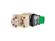 PushButton 30mm 120VAC Incand NoGuard GR