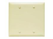 C12 2 Gang Blank Wall Plate Nylon Ivory Pass and Seymour Wall Plates TP23I