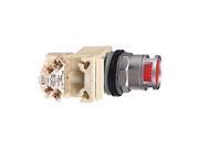 PushButton 30mm 120VAC Incand Guard Red