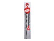 Hoist Chain 1T 15Ft Lift