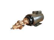 Rotary Gear Pump Bronze 3 HP 1 Ph