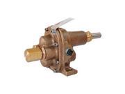 Rotary Gear Pump Head 1 In. 1 HP