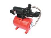 Shallow Well Jet Pump Sys 3 4HP 115 230V
