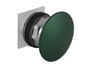 Pushbutton Momentary 30mm