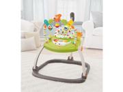 Fisher Price SpaceSaver Jumperoo