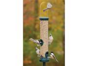 Aspects Quick Clean Seed Large Spruce Feeder
