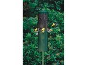 Birds Choice Classic Bird Feeder with Built In Squirrel Baffle and Pole G