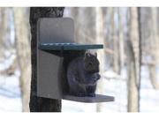 Birds Choice Recycled Squirrel Feeder Munch Box