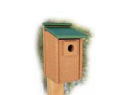 Woodlink Audubon Series Going Green Bluebird House