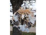 Songbird Essentials Nesting Material Wreath