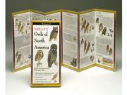 Steven M. Lewers Associates Sibley s Owls North America