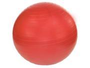 J Fit Professional Exercise Ball