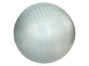 J Fit Professional Exercise Ball