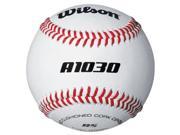 Wilson A1030B High School Baseball