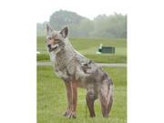 Coyote Replica new bird and pest control by Bird X