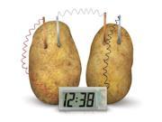 Toysmith 4 M Potato Clock 4568