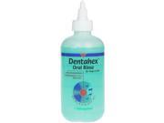 Dentahex Oral Rinse by Vet Solutions 8 oz
