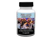 Fish Mox Amoxicillin 250mg 12ct by Thomas Labs