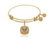 Expandable Bangle in Yellow Tone Brass with Enamel U.S. Air Force Symbol