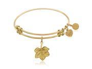 Expandable Bangle in Yellow Tone Brass with Leaf Symbol