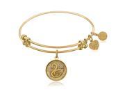 Expandable Bangle in Yellow Tone Brass with Swan Symbol