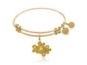 Expandable Bangle in Yellow Tone Brass with Autism Awareness Symbol