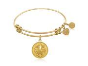 Expandable Bangle in Yellow Tone Brass with Fleur De Lis Symbol