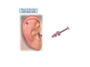 Titanium Cartilage Tragus Ball Spike Design Earring Pink