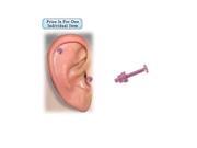 Titanium Cartilage Tragus Dumbbell Design Earring Pink