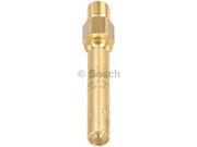 Bosch Fuel Injector 62231