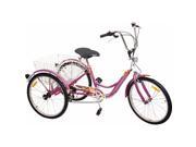 Komodo Cycling 24 6 speed Adult Tricycle 7004 Lei