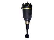 Unity Automotive 18 160000 Front Non electronic Air Strut Assembly