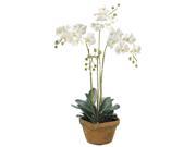 30 Potted Artificial White Phalaenopsis Orchid Plant Silk Flower Arrangement