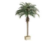 Pack of 2 Potted Artificial Silk Phoenix Palm Trees 6