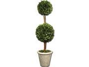 36 Preserved Boxwood Evergreen Double Globe Topiary in Terracotta Planter