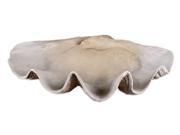 23 Realistic Clam Shell Shaped Decorative Bowl