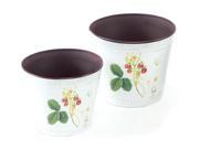 Pack of 4 Farm Fresh Decorative Ivory Strawberry Metal Vases