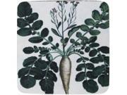 Pack of 8 Absorbent Antique Style Turnips Vegetable Print Cocktail Drink Coasters 4