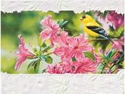 Pack of 9 Goldfinch in Azaleas Fine Art Embossed Deluxe Greeting Cards and Envelopes