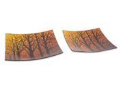 Set of 2 Orange and Black Woodland Autumn Harvest Glass Platters 13