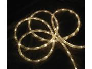 18 Warm Clear LED Indoor Outdoor Patio Christmas Rope Lights