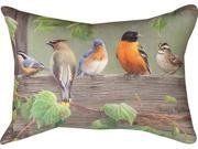 18 Birds on a Line III Decorative Outdoor Patio Throw Pillow