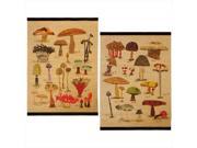 Set of 2 Retro Antique Style Mushroom Print Wall Art Decorations 31.5