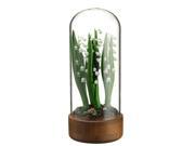 11 Green and White Decorative Artificial Spring Lily of the Valley in Clear Glass Terrarium