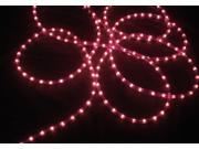 100 Purple Commercial Grade Christmas Rope Light On Spool