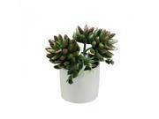 7.75 Artificial Mixed Green and Red Succulent Plants in a Decorative White Pot