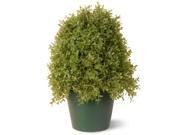 15 Potted Artifical Boxwood Jade Plant