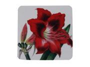 Pack of 8 Absorbent Antique Style Botanical Amaryllis Cocktail Drink Coasters 4
