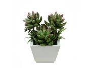 7.5 Artificial Mixed Green and Red Succulent Plants and Ferns in a Decorative Wooden Square Pot